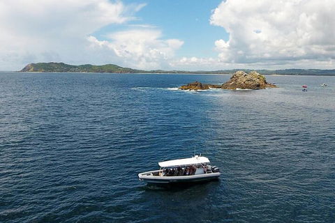Julian Rocks Byron Bay Cruise - Accommodation Newcastle 5