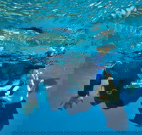 3 Day Whitsundays Sailing and Diving Adventure Kiana - Accommodation Newcastle