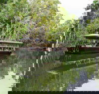 Hartley's Crocodile Adventures Breakfast with the Koalas - Accommodation Newcastle