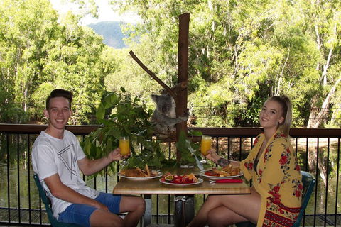 Hartley's Crocodile Adventures Breakfast With The Koalas - Accommodation Newcastle 5