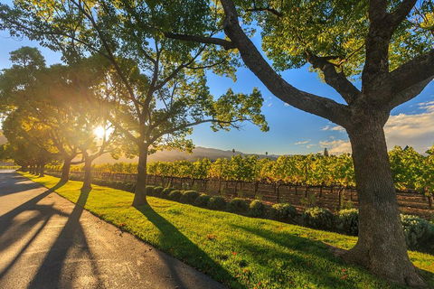 Very Best Of Perth Tour - Wildlife Park & City Highlights Tour - Accommodation Newcastle 2