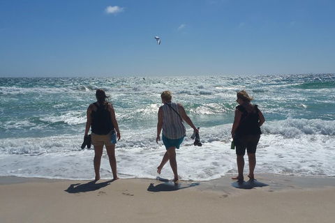 Very Best Of Perth Tour - Wildlife Park & City Highlights Tour - Accommodation Newcastle 5