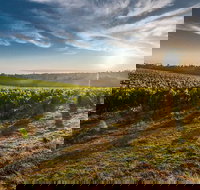 Perth to Margaret River Wine Tour - 2 Day Premium Boutique Wine Tour Experience - Accommodation Newcastle