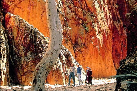 West MacDonnell Ranges Day Trip From Alice Springs - Accommodation Newcastle 3