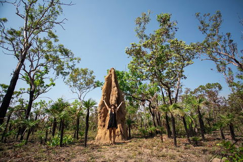 Litchfield National Park - Top End Day Tour From Darwin - Accommodation Newcastle 5