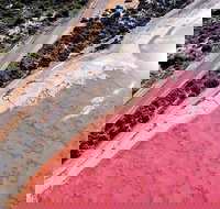 7-Day Exmouth Explorer via Pinnacles Monkey Mia Ningaloo Reef returning to Perth - Accommodation Newcastle