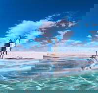 4-Day Coastal Loop via Monkey Mia Wild Dolphins Kalbarri Pinnacles Perth Return - Accommodation Newcastle