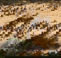 Pinnacles Sunset Dinner and Stargazing Experience a Small Group Tour - Accommodation Newcastle