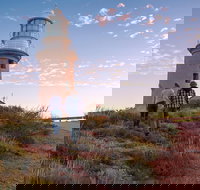 6-Day Coral Coaster from Perth to Exmouth One-Way via Monkey Mia Ningaloo Reef - Accommodation Newcastle