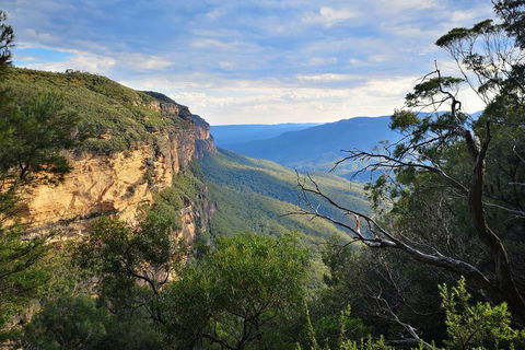 Sunset Blue Mountains Wilderness & Wildlife Tour Without The Crowds - Accommodation Newcastle 2