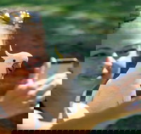 2-Day Melbourne to Adelaide Tour Great Ocean Road and Grampians One Way Trip - Accommodation Newcastle