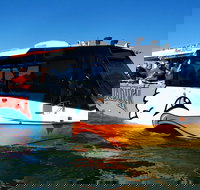 Express Jet Boat Ride  Aquaduck - Accommodation Newcastle