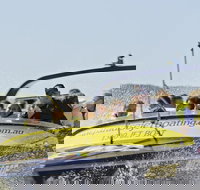 30-minute Jet Blast Express Ride - Accommodation Newcastle