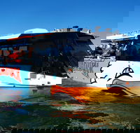 Paradise Jet Boating and Aquaduck Combo - Accommodation Newcastle