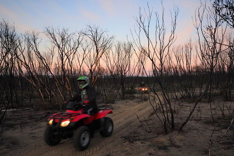 Kangaroo Island Quad Bike (ATV) Tours - Accommodation Newcastle 1