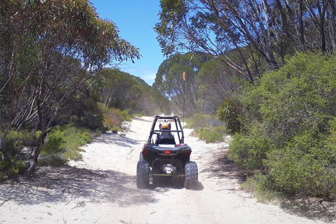 Kangaroo Island Quad Bike (ATV) Tours - Accommodation Newcastle 4
