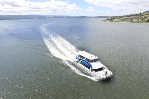 2.5 Hour Morning Discovery Cruise Including Sailing Into The Cataract Gorge - Accommodation Newcastle 2