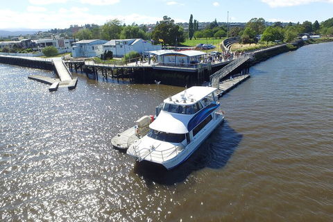 2.5 Hour Morning Discovery Cruise Including Sailing Into The Cataract Gorge - Accommodation Newcastle 3