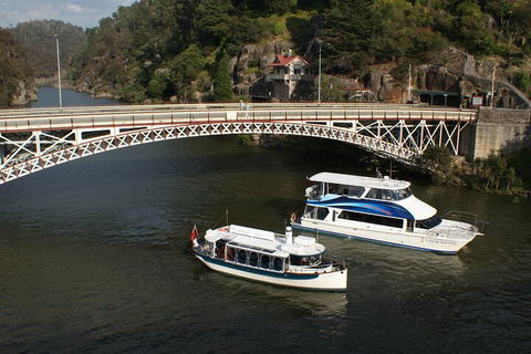 2.5 Hour Morning Discovery Cruise Including Sailing Into The Cataract Gorge - Accommodation Newcastle 5