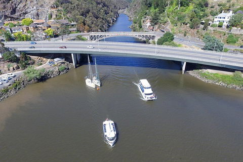 2.50 Hour Afternoon Discovery Cruise Including Cataract Gorge Departing At 3 Pm - Accommodation Newcastle 1