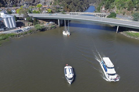 2.50 Hour Afternoon Discovery Cruise Including Cataract Gorge Departing At 3 Pm - Accommodation Newcastle 3