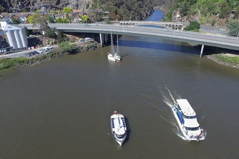2.50 Hour Afternoon Discovery Cruise Including Cataract Gorge Departing At 3 Pm - Accommodation Newcastle 5