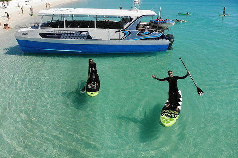 Whitsunday Bullet Day Trip - Whitehaven Beach And Snorkelling - Accommodation Newcastle 4