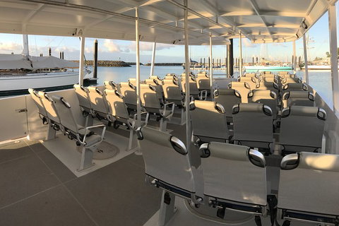 Whitsunday Bullet Day Trip - Whitehaven Beach And Snorkelling - Accommodation Newcastle 5