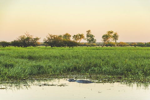 Yellow Water Cruise - Kakadu - Accommodation Newcastle 3