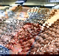 Pinnacles Desert Private Tour - Accommodation Newcastle