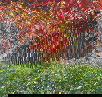 Margaret River Private Tour - Accommodation Newcastle