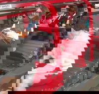 Blue Mountains Private Tour with Wildlife Park and River Cruise - Accommodation Newcastle