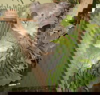 Blue Mountains Private Full-Day Tour from Sydney with Cruise - Accommodation Newcastle