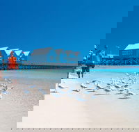 Margaret River and Geographe Bay Region Day Trip from Perth - Accommodation Newcastle