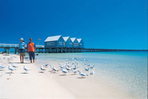 Margaret River And Geographe Bay Region Day Trip From Perth - Accommodation Newcastle 0