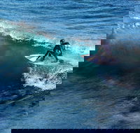 Great Ocean Road Highlights Tour - 2 Days 1 Night - Accommodation Newcastle