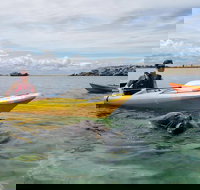 Seal Island and Penguin Island or Point Peron Sea Kayak Tour - Accommodation Newcastle