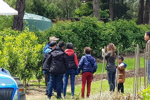 Dandenong Ranges And Rayners Orchard Tour From Melbourne - Accommodation Newcastle 4