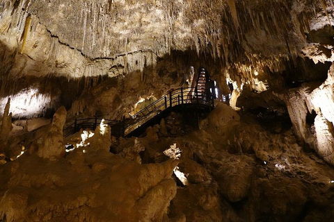 Ngilgi Cave Semi-guided Tour - Accommodation Newcastle 2