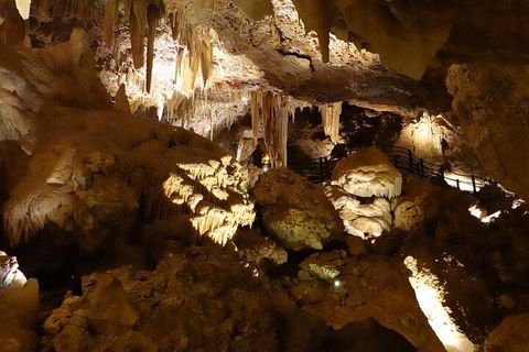 Ngilgi Cave Semi-guided Tour - Accommodation Newcastle 3