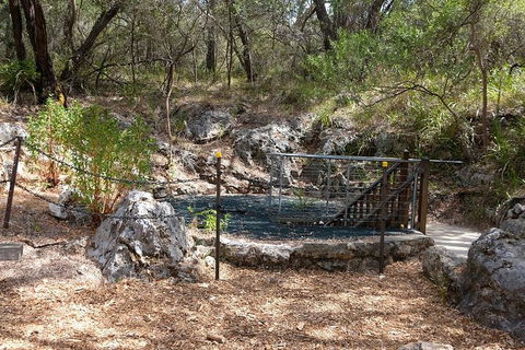 Ngilgi Cave Semi-guided Tour - Accommodation Newcastle 4