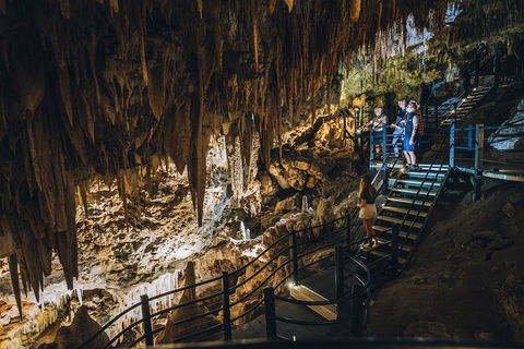 Ngilgi Cave Semi-guided Tour - Accommodation Newcastle 5