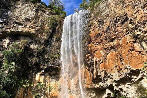 Springbrook Full Day Tour - Accommodation Newcastle 2