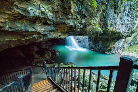 Springbrook Full Day Tour - Accommodation Newcastle 4