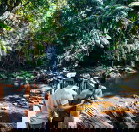 Aquaduck  Your choice of Gold Coast Rainforest Tour - Accommodation Newcastle
