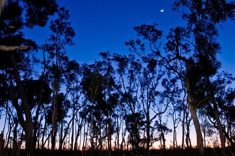Small-Group Kangaroo Island 4WD Night Tour - Accommodation Newcastle 2