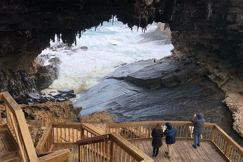 Kangaroo Island 4WD Tour - Best Of KI - Accommodation Newcastle 1