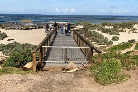 Kangaroo Island 4WD Tour - Best Of KI - Accommodation Newcastle 2