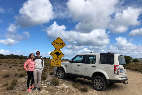 Kangaroo Island 4WD Tour - Best Of KI - Accommodation Newcastle 5
