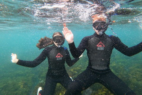 Manly Snorkel Trip And Nature Walk With Local Guide - Accommodation Newcastle 3